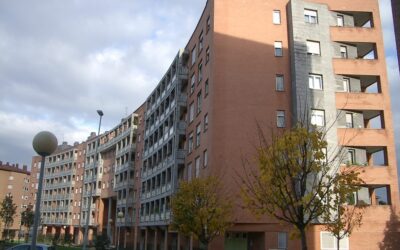 El saneamiento de vicios o defectos ocultos engloba los daños en elementos comunes